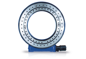 Schwenktriebe von Rodriguez